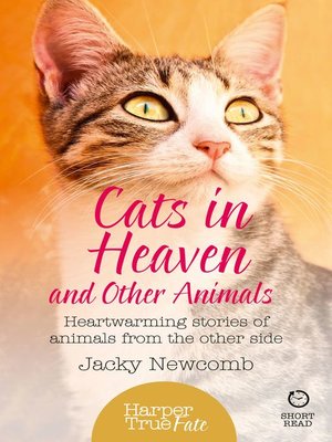 Cats in Heaven - ebook